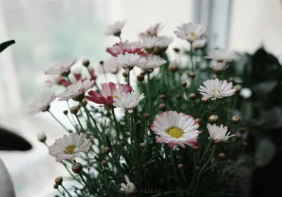 暮色四合，尚有未完之句