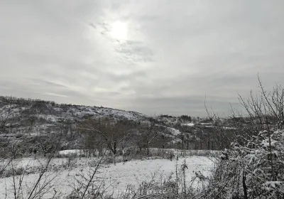 不知庭霰今朝落